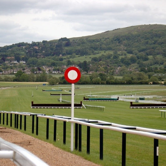 Cheltenham Festival - Cheltenham Racecourse (11/03/25)