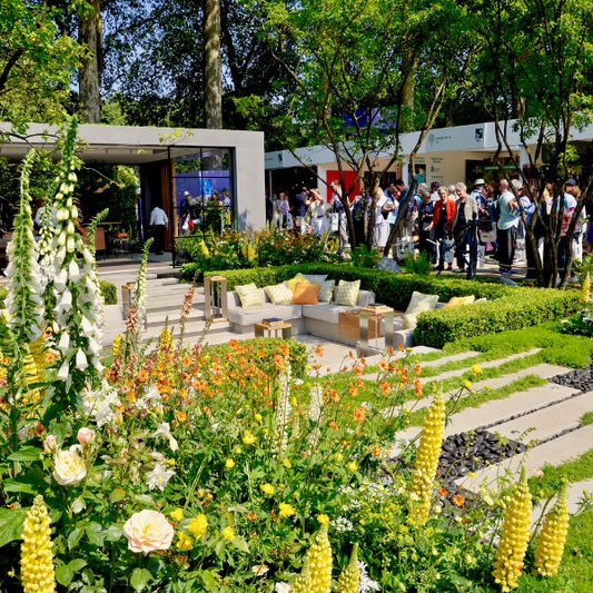 Chelsea Flower Show - Royal Hospital Chelsea (20/05/25)