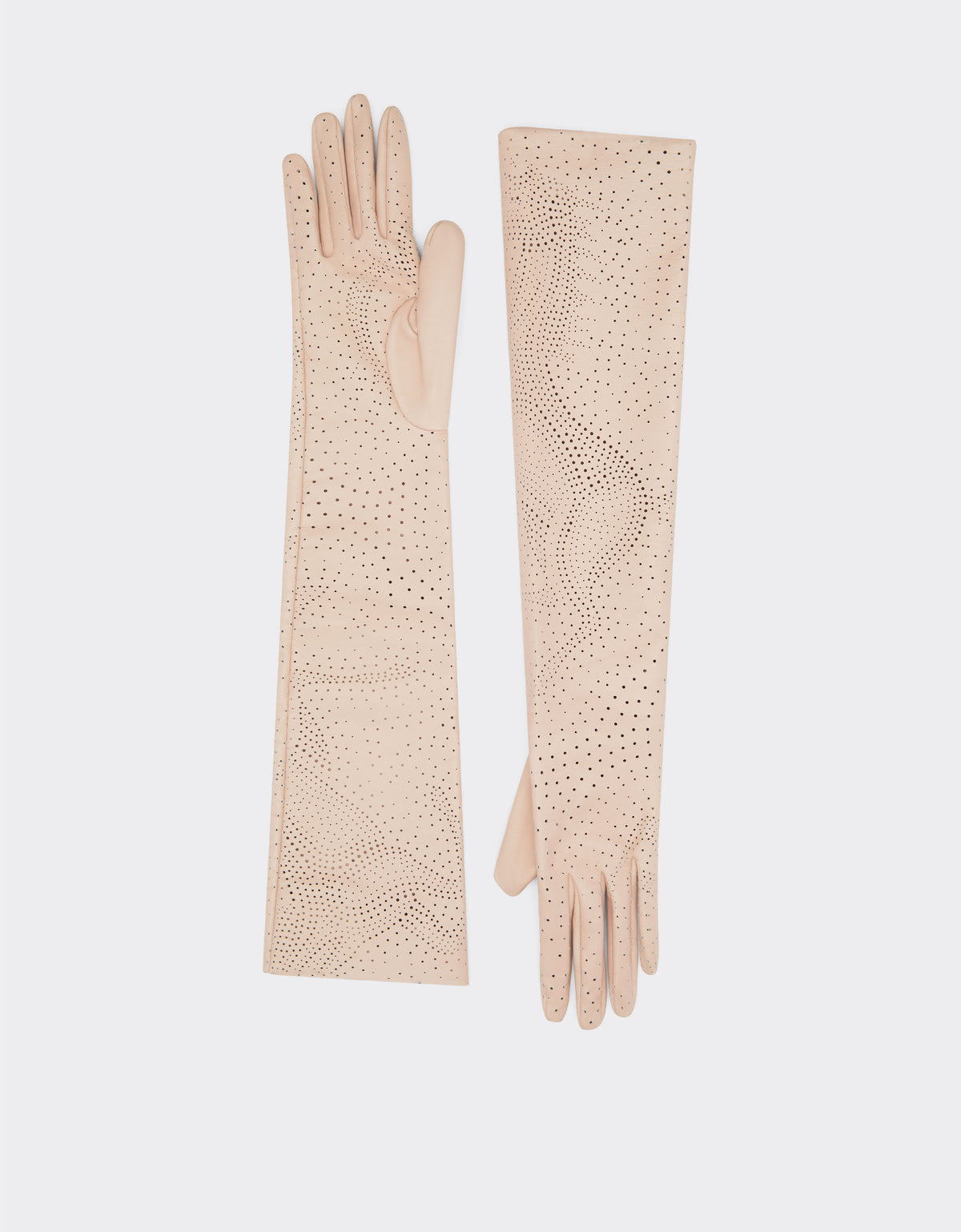 Long Gloves In Perforated Leather