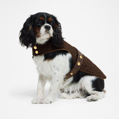 Waterproof Dog Coat PM