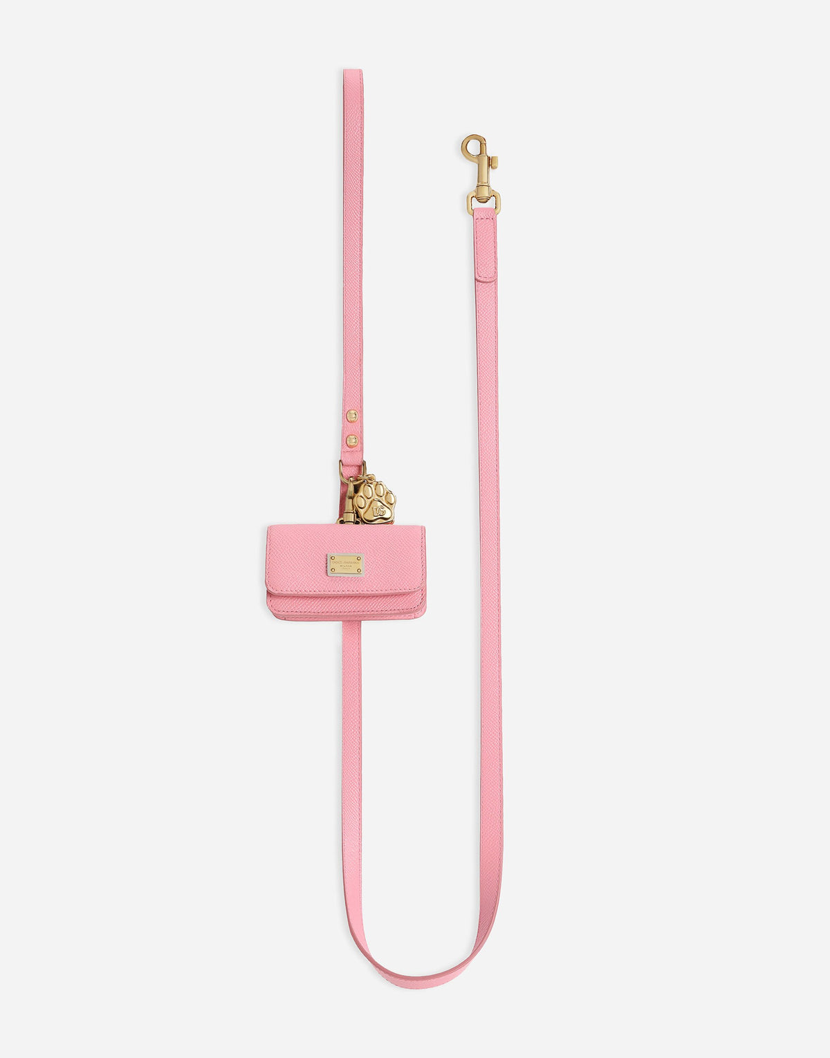 Dog Leash