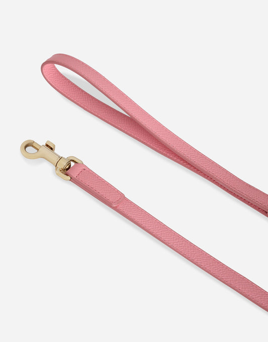 Dog Leash