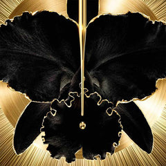 Orchidée Impériale Black The Cream - The Refill