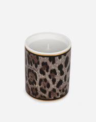 Porcelain Scented Candle – Patchouli