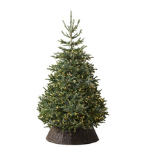 Balsam Hill  Nordmann Fir Flip Christmas Tree (8ft)