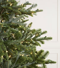 Balsam Hill Nordmann Fir LED Clear Christmas Tree (8ft)