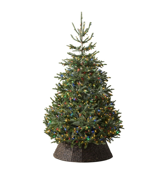 Balsam Hill  Nordmann Fir Led Colour + Clear Christmas Tree (12ft)