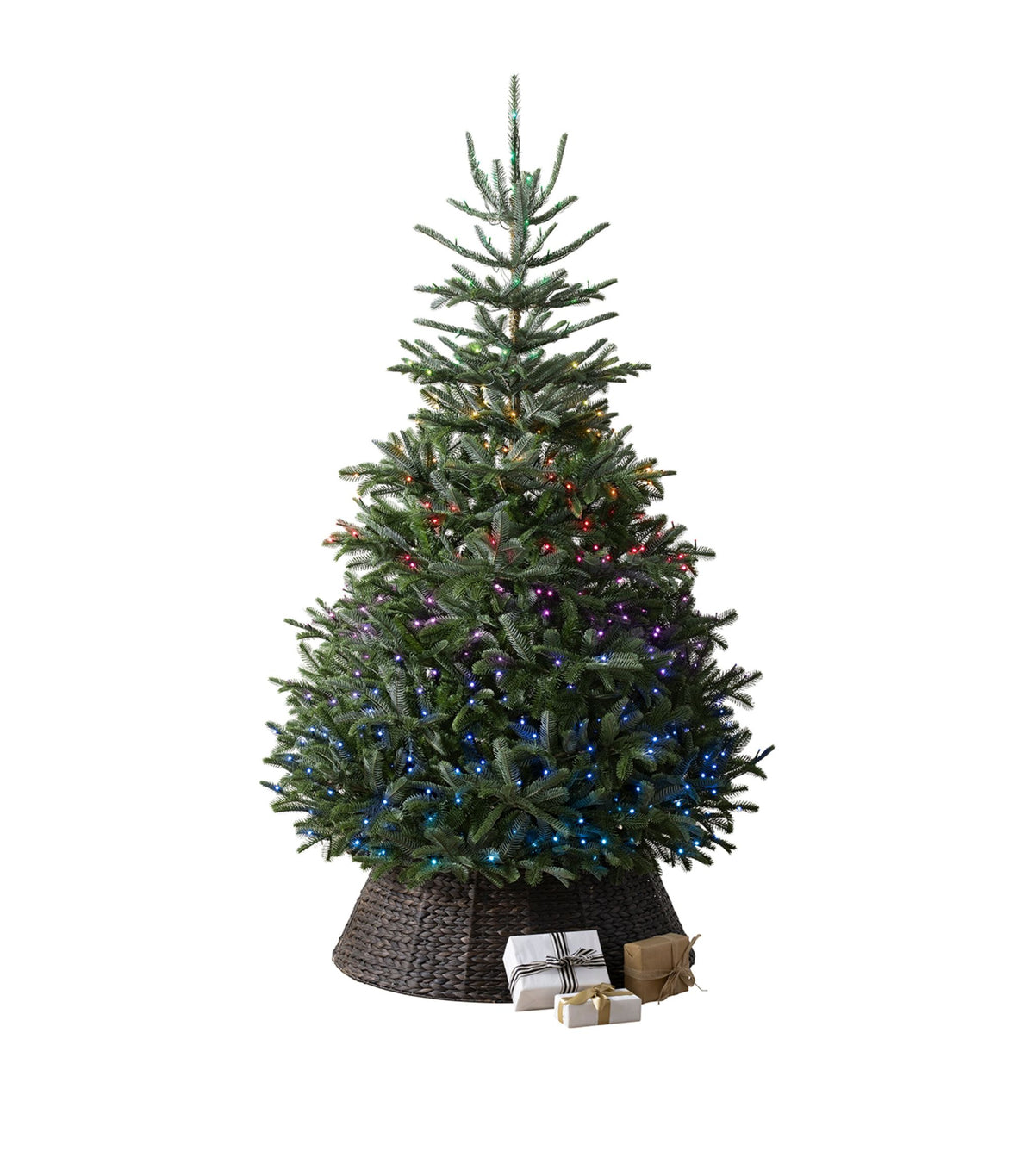 BALSAM HILL Nordmann Fir Twinkly Christmas Tree (8ft)