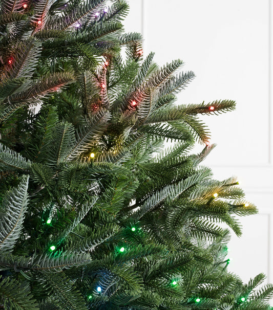 BALSAM HILL Nordmann Fir Twinkly Christmas Tree (8ft)