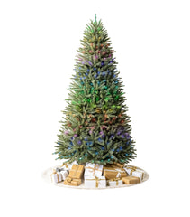 Balsam Hill Royal Blue Spruce Christmas Tree (8ft)