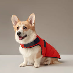 Dog Coat