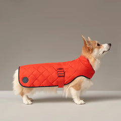 Dog Coat