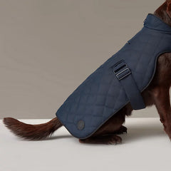 Dog Coat