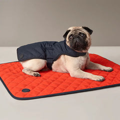 Dog Coat