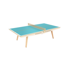 Ping-Pong Table Canvas Professional Size