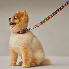 Medor Dog Leash