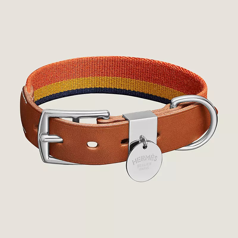 Rocabar Iii Dog Collar