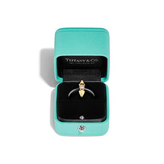 Tiffany Titan by Pharrell Williams - Ring